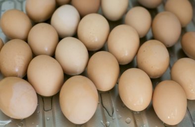 
Куриные яйца подорожают из-за роста цены на кукурузу &ndash; экономист
