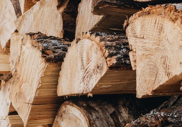 
В Украине выросли цены на дрова: за сколько можно купить древесину
