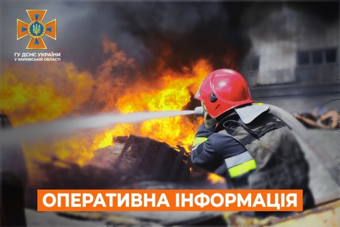 
Недельный пожар в заповеднике и взрывоопасные находки: как прошли сутки у одесских спасателей

