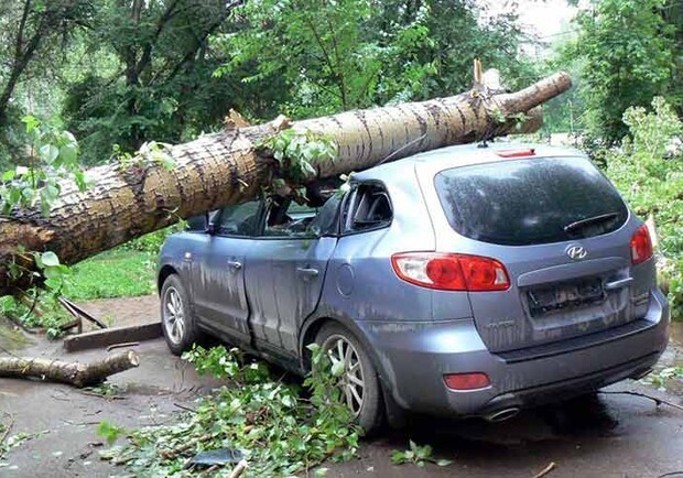 
Одессит отсудил у городского совета более 450 тысяч гривен за поврежденное упавшим деревом авто
