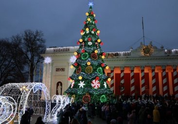 Дождались: в Одессе зажгли главную новогоднюю елку