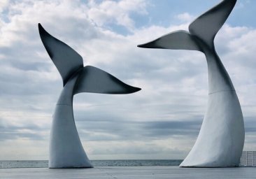 Парк искусств и пирсы дельфины: какие необычные проекты могут осуществить в Одессе