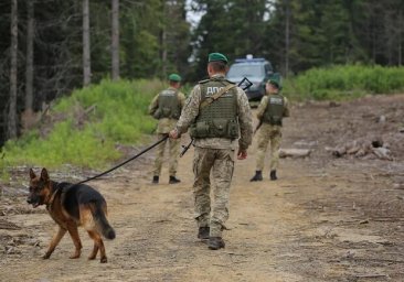 Пыталась загрызть: в Одесской области на собаку пограничников напала лиса