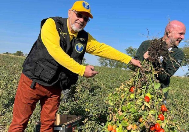 Фермер из Одесской области собрал 192 помидора с одного куста и установил рекорд Украины