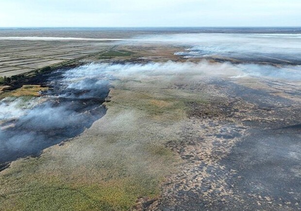 
Дунайский биосферный заповедник в Одесской области продолжает гореть
