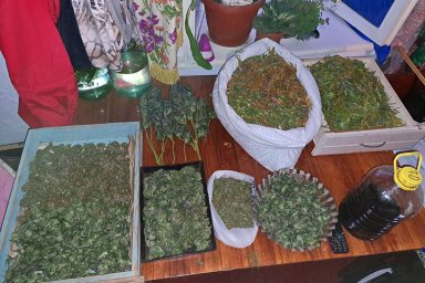 ​Зарабатывали на наркосбыте полмиллиона гривен ежемесячно: в Одесской области полицейские прекратили деятельность наркогруппировки