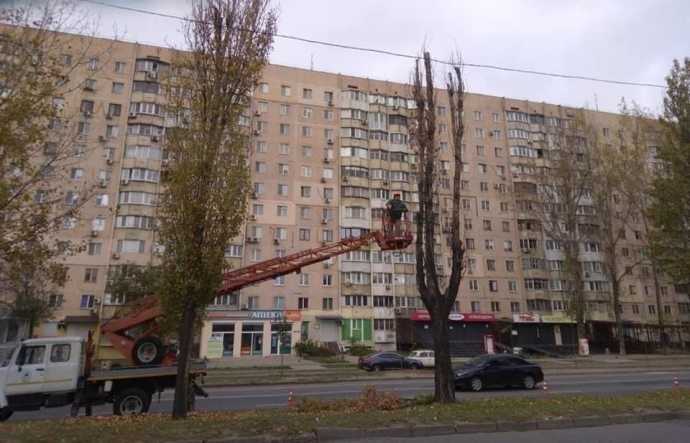 Коммунальщики Одессы продолжают заготовку дров на случай чрезвычайных ситуаций.