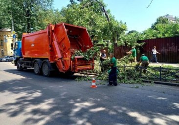 Штормовая погода в Одессе: в городе упали 20 деревьев, а в области на море взорвались мины