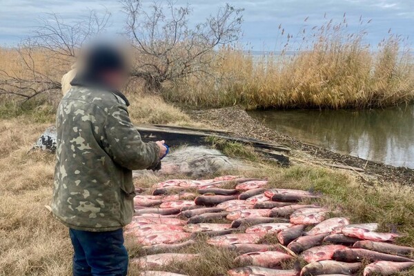 Полицейские Одесщины разоблачили браконьера на озере Ялпуг