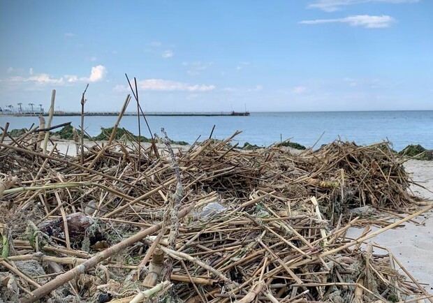 Последствия подрыва Каховской ГЭС в Одессе: какая соленость моря и есть ли там холера