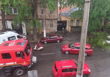Из-за непогоды в Одессе упали пять деревьев: одна из них чуть не задела автомобилиста на дороге
