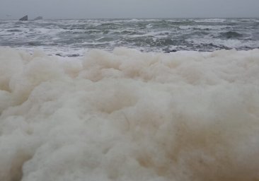 Капучино: одесское побережье укрыла удивительная пена