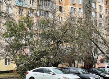 400 деревьев и крупных веток повалены в Одессе непогодой. ФОТО