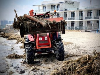 Жабы и бревна: на пляжах Одессы начали убирать мусор (ФОТО, ВИДЕО)