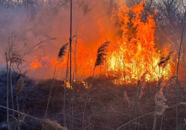 В Суворовском районе Одессы горели поля фильтрации: подробности пожара