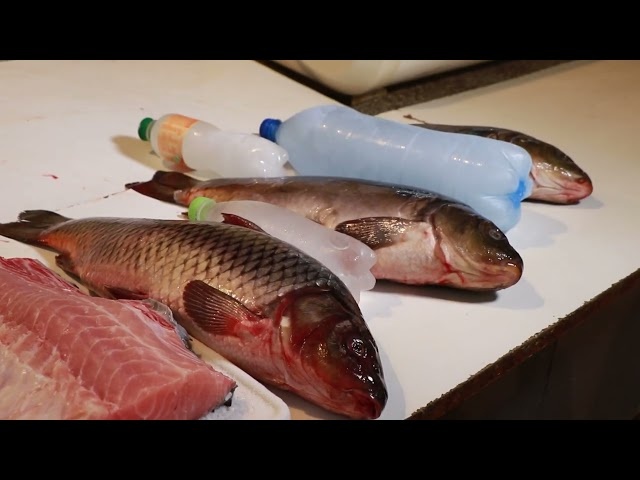 Проверка рыбных рынков Одессы