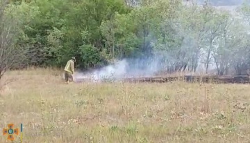 В Одесской области загорелись почти 30 гектар леса