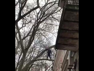 В Одессе работники ГСЧС сняли с дерева мужчину, которого возлюбленная не пустила через окно