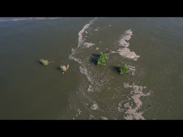 Одещина. Последствия техногенного наводнения в Херсонской области