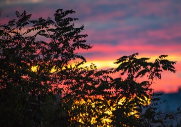 Яркий вечер: одесситы наблюдали красочный закат
