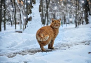 К чему готовиться: синоптики рассказали о погоде в Одессе 29 января