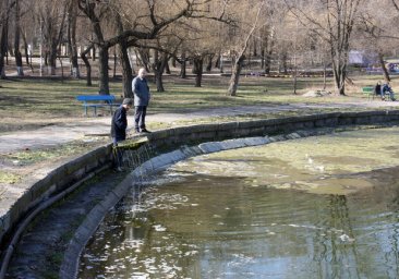 Рождественский подарок: в Дюковский пруд выпустили еще 200 килограммов рыбы