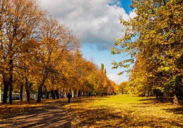 
Прохладные ночи и теплые дни: какая погода будет в Одессе на следующей неделе
