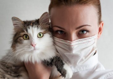 Не забудь надеть маску: какая ситуация с Covid-19 в Одесской области