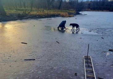 
На одесском пруду пенсионер провалился под лед: он пытался спасти собаку
