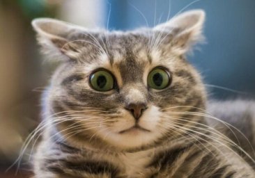 Вот это поворот: в Одессе медициной займется ковид-диссидентка с мандатом