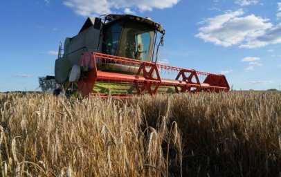 
В Украине уже началась жатва: в каких областях собирают ранние зерновые
