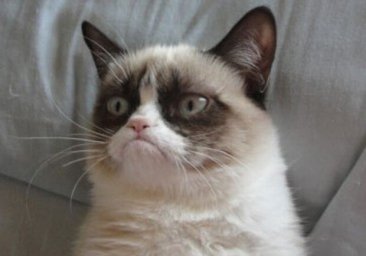 Вот это поворот: в Одесской области мужчина сбил велосипедиста и пытался увезти труп