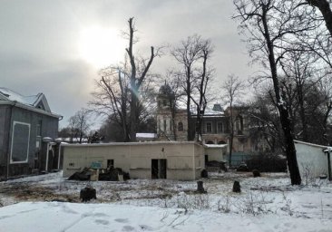 Подготовка к стройке: возле дачи Маразли уже спиливают деревья