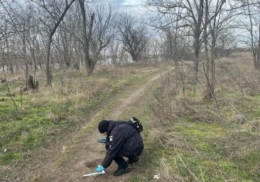 
В Измаиле приговорили школьницу, которая убила и подожгла свою подругу из-за кражи алкоголя
