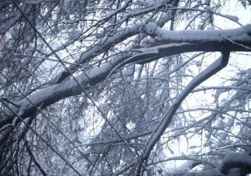 Последствия снежной бури: в Одесской области более чем в 130 населенных пунктах нет света