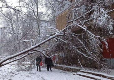 Нет света в доме: на Варненской люди перекрыли дорогу