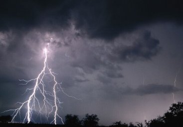 Удивительная погода: в Одесской области посреди зимы прошла весенняя гроза