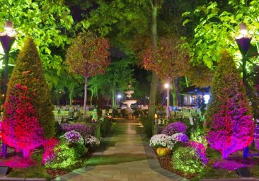 Атмосферный ноябрь: полюбуйся вечерним парком Горького в Одессе