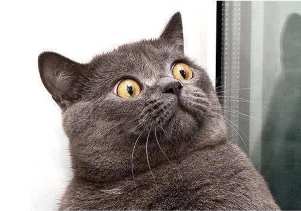 Так себе шоу-программа: в Одессе часами крутился строительный кран