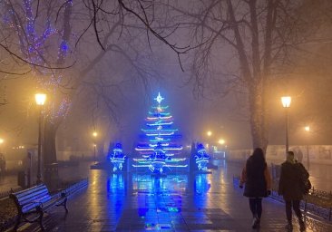 Иди смотреть: на Приморском бульваре установили елку из лыж