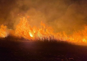 
В Одессе горели поля фильтрации: подробности пожара
