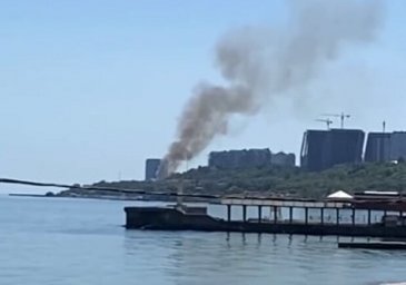 Получи ответ: что горит у пляжа "Лагуна" в Одессе