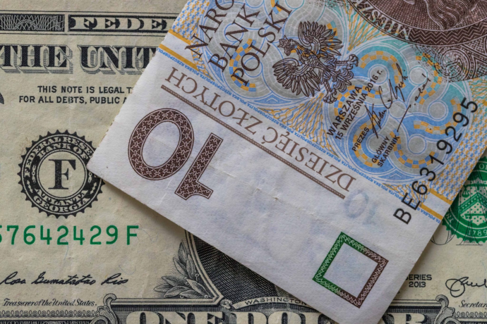 
Доллар, евро, злотый: актуальный курс валют на 25 мая
