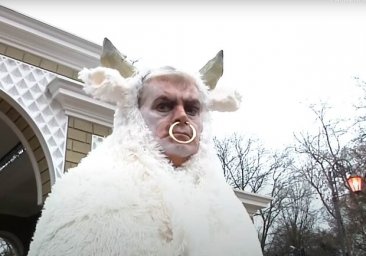 Новогодний позитив: Одесский зоопарк выпустил новый клип