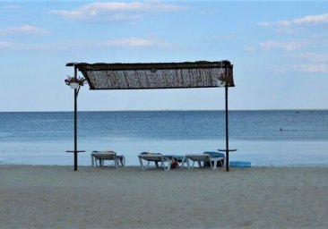 
На курорте в Одесской области официально откроют пляж
