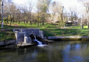 Новогодний подарок: в пруд Дюковского парка выпустили 100 килограмм рыбы