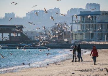 Теплый январь: какая погода будет в Одессе на будущей неделе