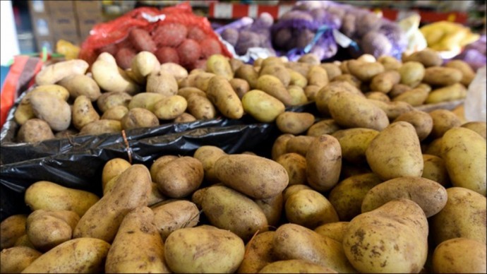 
Весной в Украине подорожает картофель &ndash; СМИ
