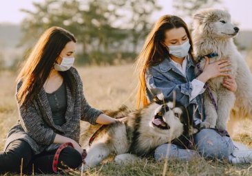 Не расслабляйся: какая ситуация с Covid-19 в Одесской области (обновлено)