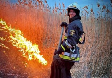 
С начала года в Одесской области случилось более полутысячи возгораний сухой растительности
